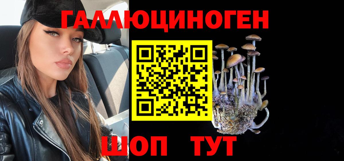 Псков  Галлюциногенные грибы GOLDEN TEACHER  Вход с VPN 